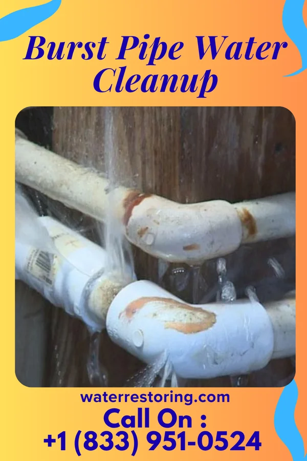 Burst Pipe Water Cleanup in Arden on the Severn, MD