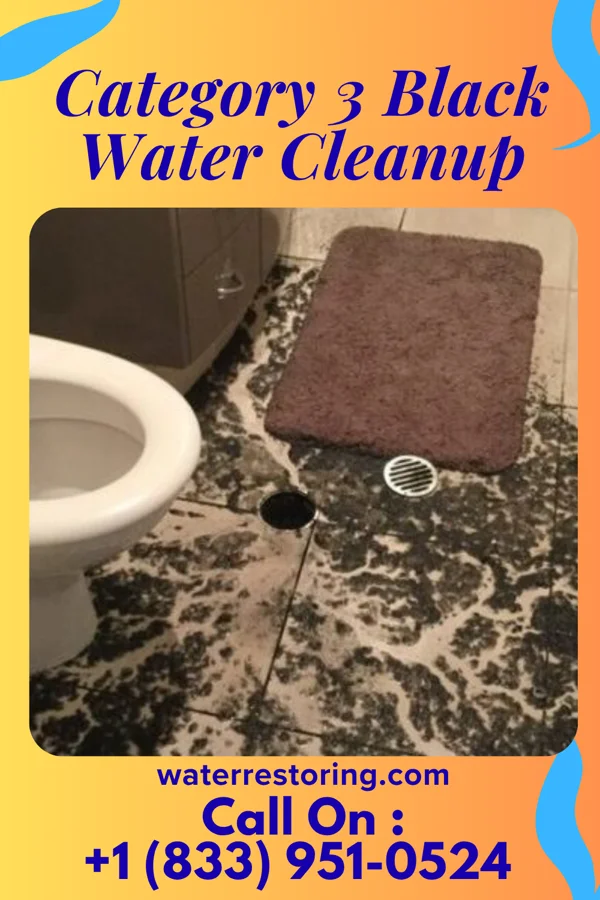 Category 3 Black Water Cleanup in Arden on the Severn, MD