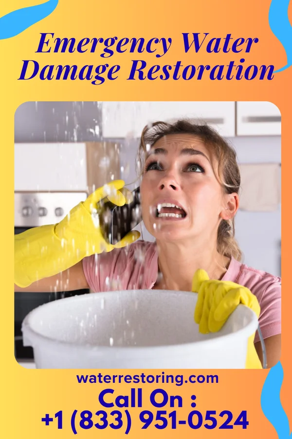 Emergency Water Damage Restoration in Arden on the Severn, MD