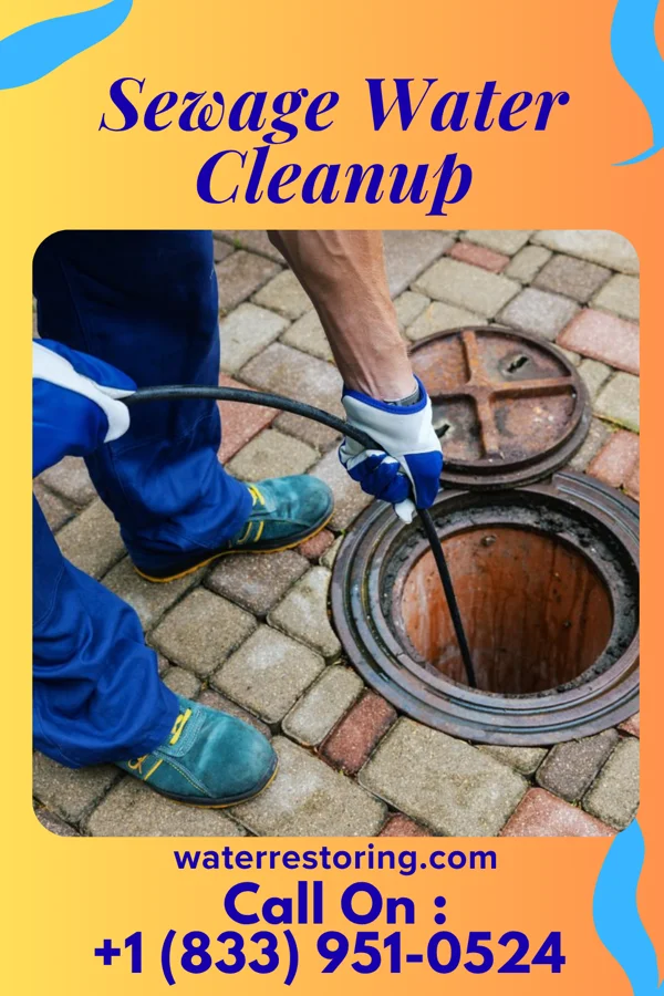 Sewage Water Cleanup in Arden on the Severn, MD